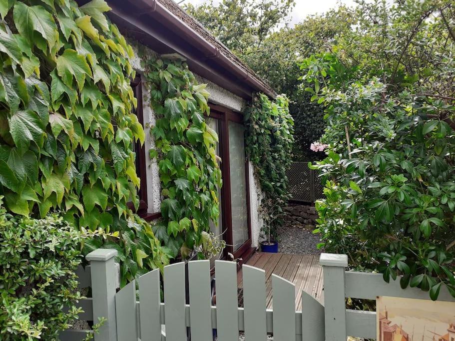Oakey Orchard - Cosy Apartment In Tamar Valley, Cornwall Saint Dominick Exteriér fotografie